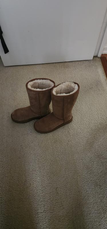 Best thing I ever purchased