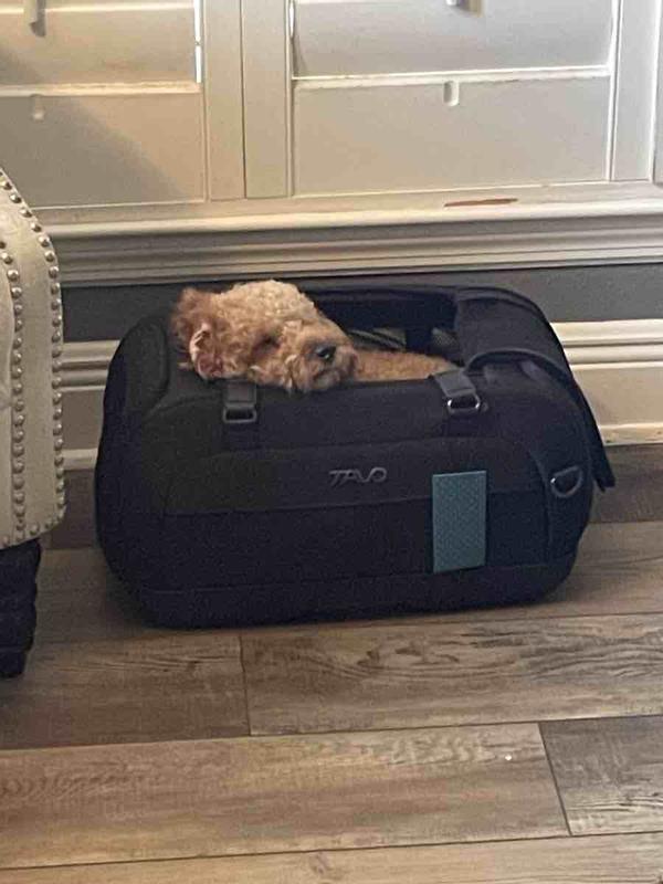 Review Thumbnail Image 0 235324351