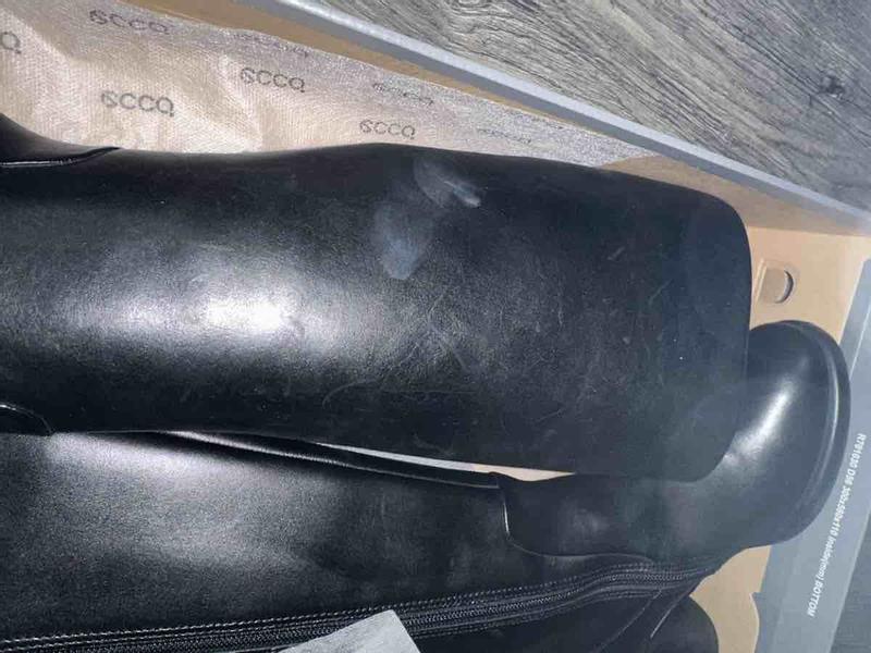 Review Thumbnail Image 2 238154907