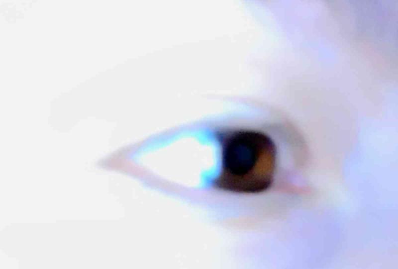 Review Thumbnail Image 0 246310255