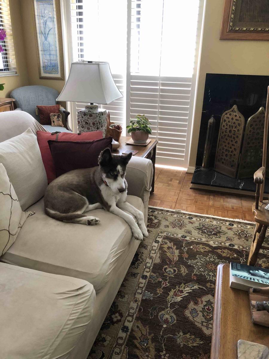 Customer photo for "Beware"