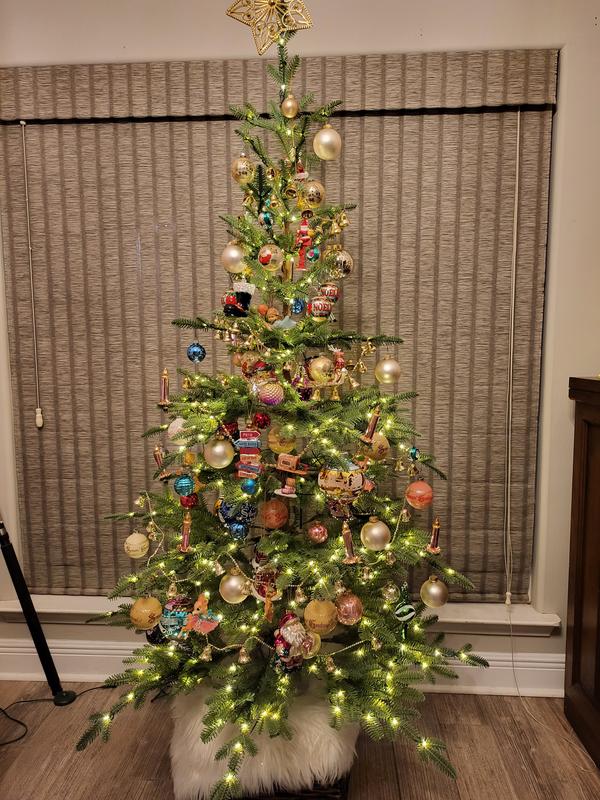 Review Thumbnail Image 1 230331979