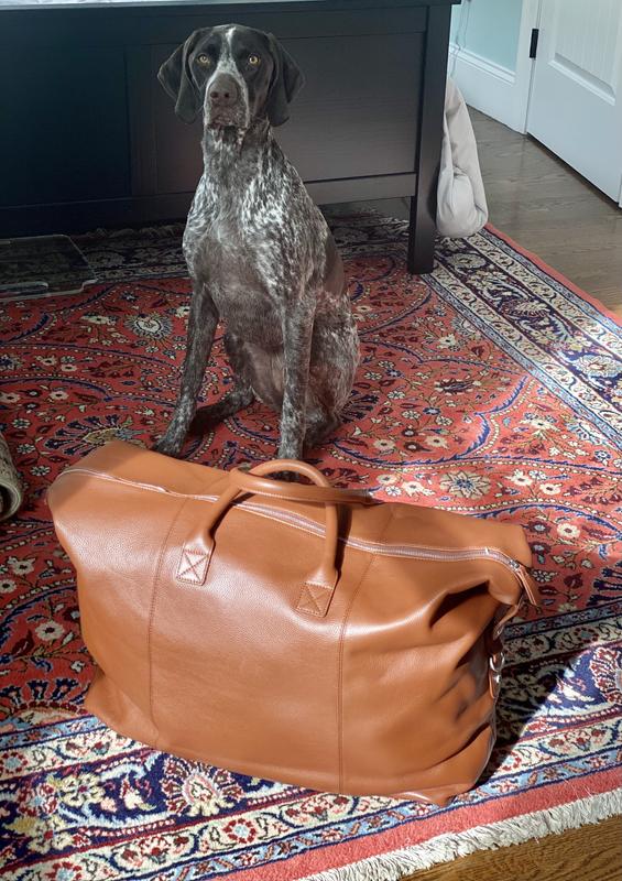 Review Thumbnail Image 0 214734794