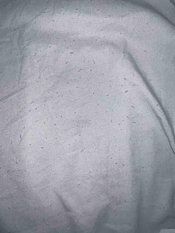 Review Thumbnail Image 1 243409639