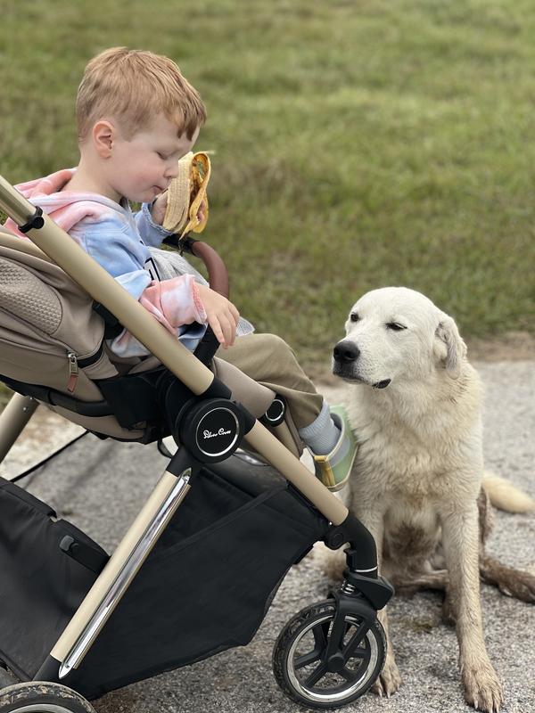 Review Thumbnail Image 0 232860345