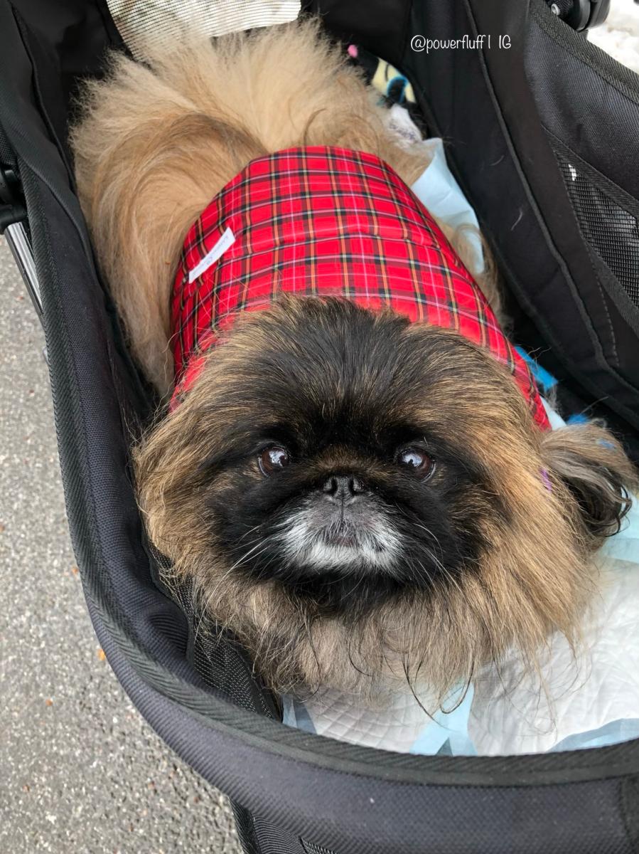 Review Thumbnail Image 0 191735916