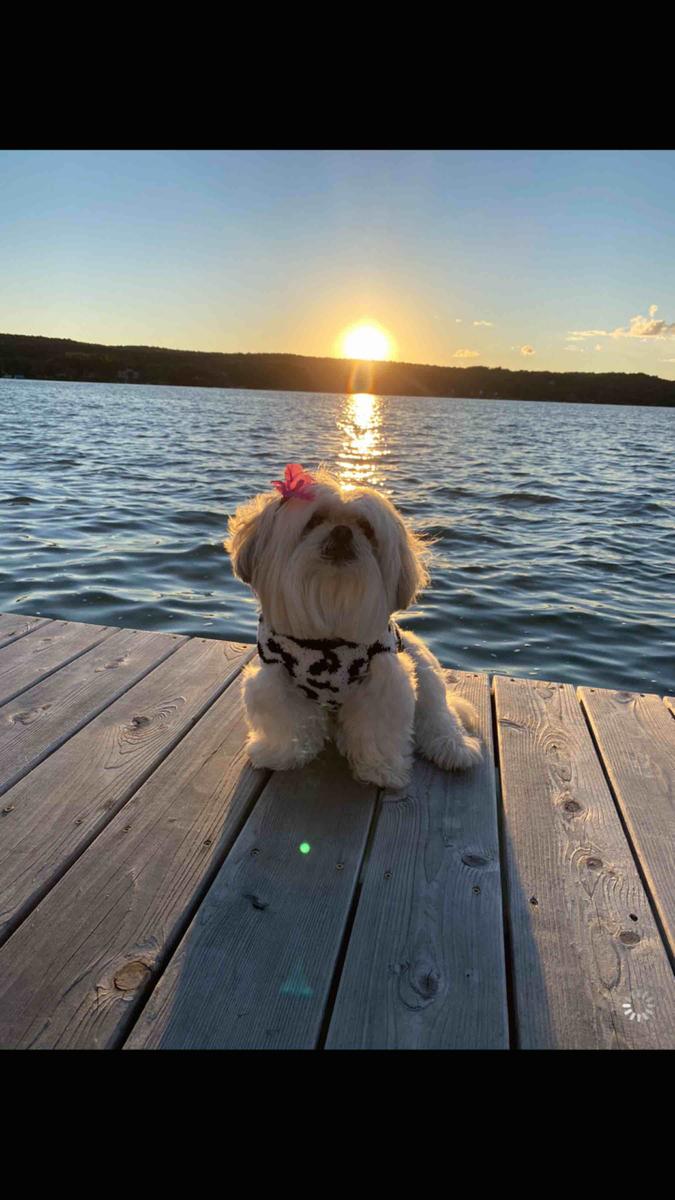 Review Thumbnail Image 0 200646240