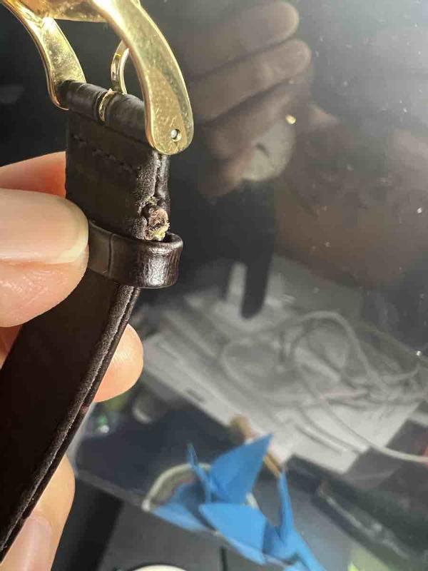 Review Thumbnail Image 0 222058964