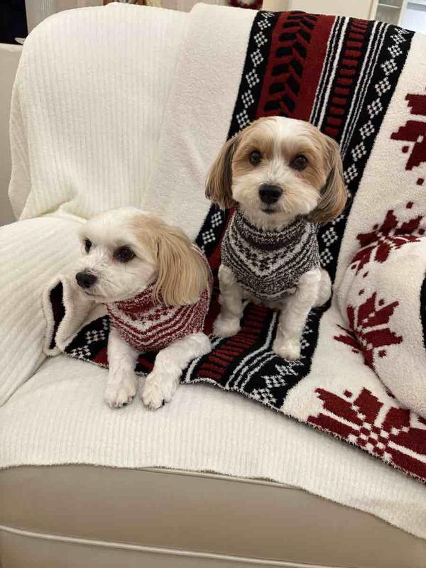 Review Thumbnail Image 1 247232063