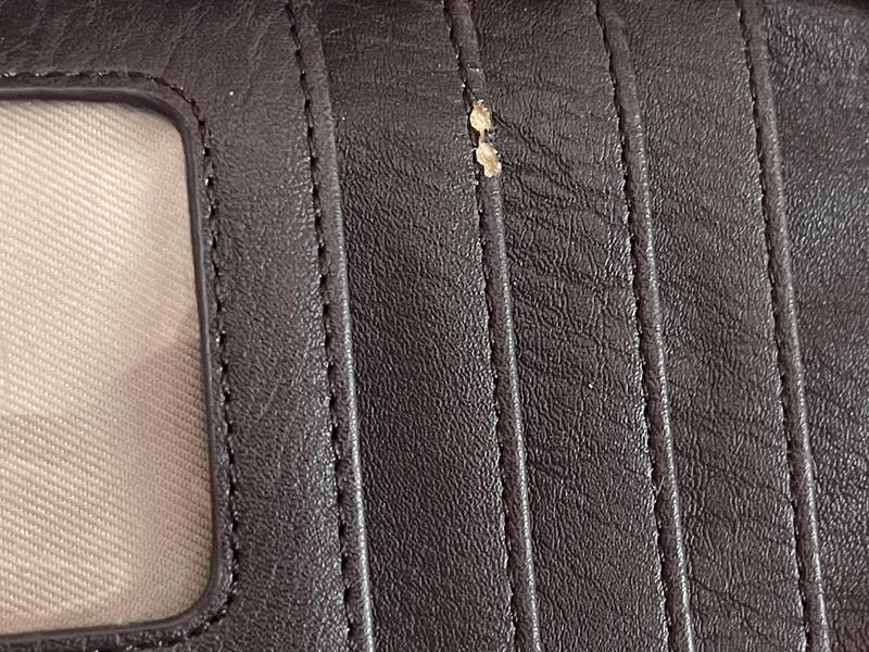 Review Thumbnail Image 1 242049571