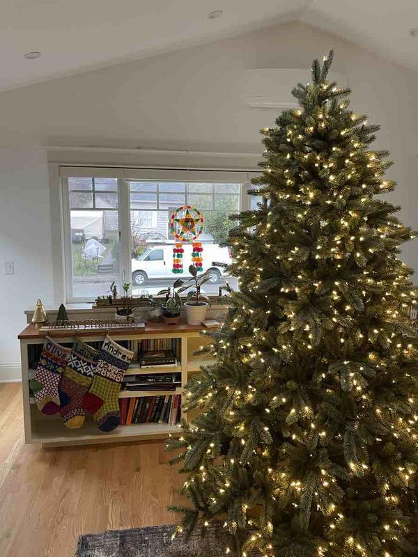 Review Thumbnail Image 0 221947766