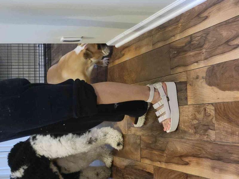 Comfortable and cute