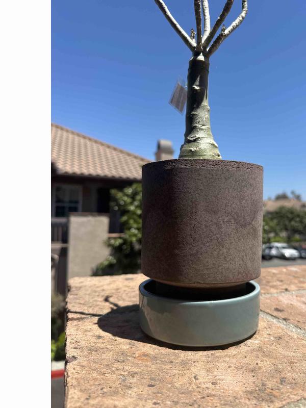 Review Thumbnail Image 0 233429241