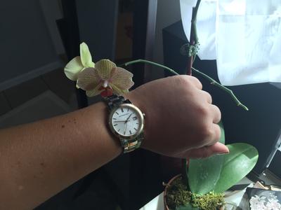 Customer photo for "Gorgeous"