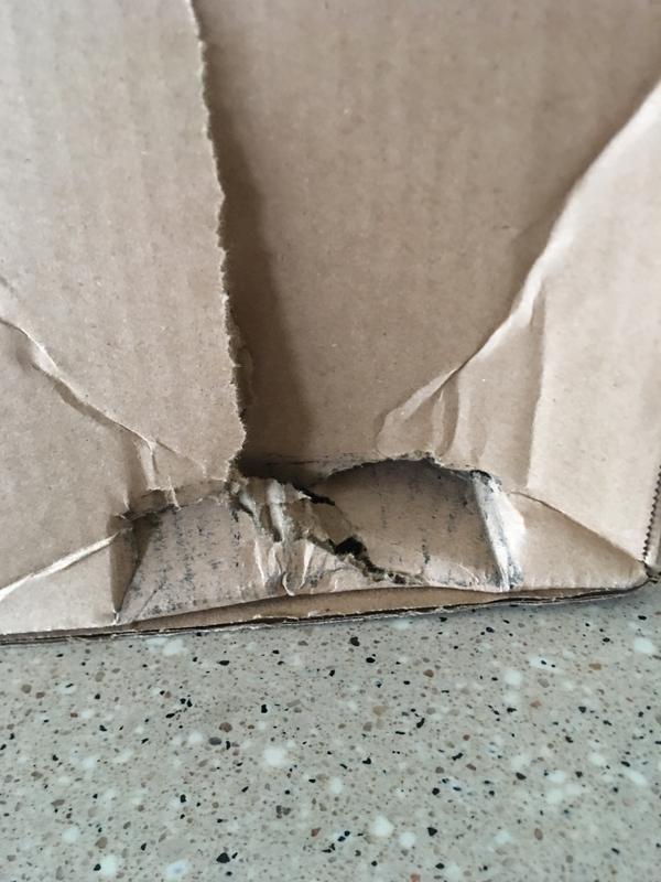 Customer photo for "Damaged shoes"