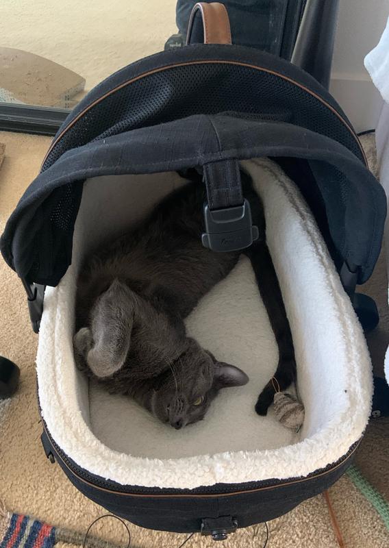 Review Thumbnail Image 1 241679112