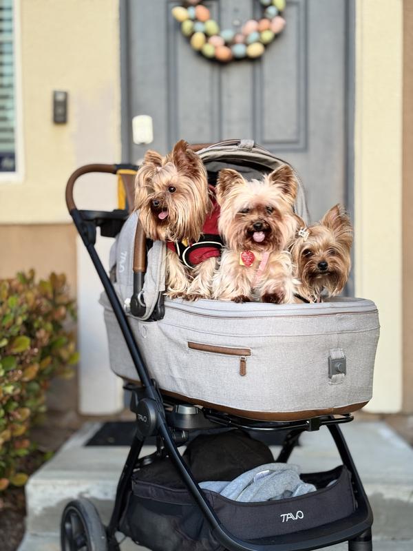 Review Thumbnail Image 1 240715346