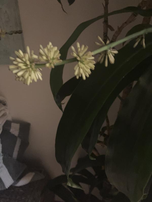 Review Thumbnail Image 0 224592296