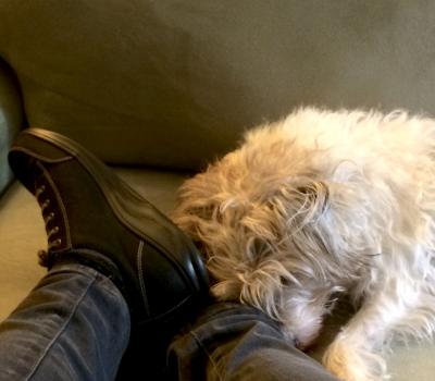 Review Thumbnail Image 0 68163577