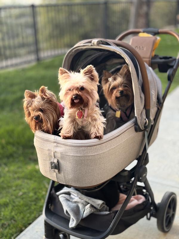 Review Thumbnail Image 0 240715346