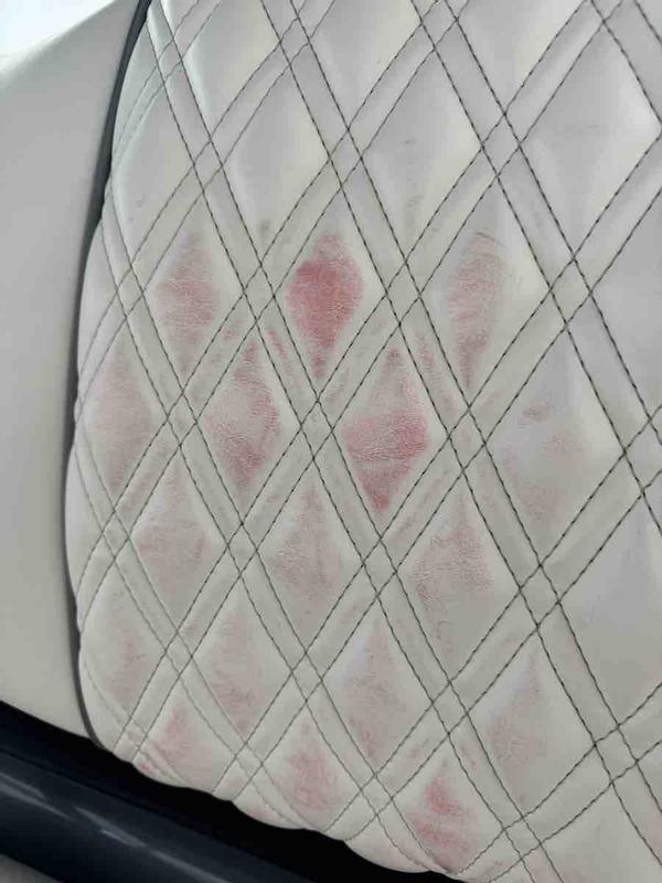 Review Thumbnail Image 0 235883950