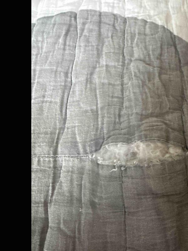 Review Thumbnail Image 0 247235512