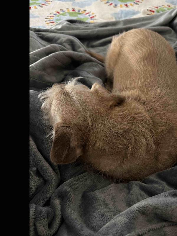 Review Thumbnail Image 0 246443018