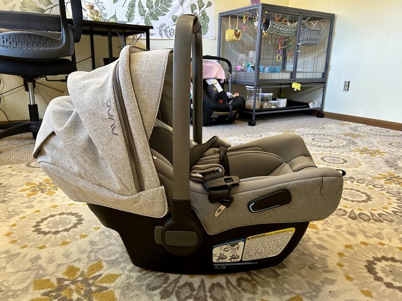 Customer photo for "A Beautiful Car Seat!"
