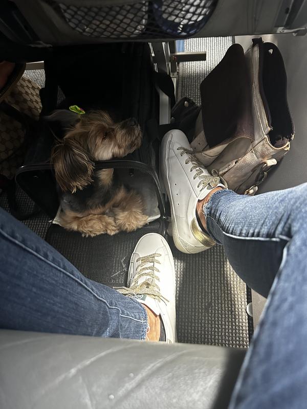 Review Thumbnail Image 1 227510883