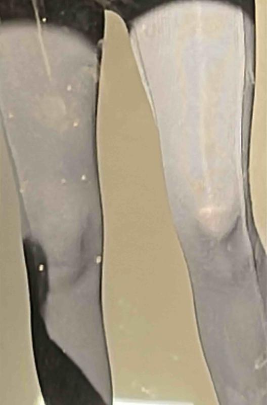 Review Thumbnail Image 1 213523021