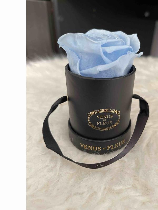 Review Thumbnail Image 0 230031955