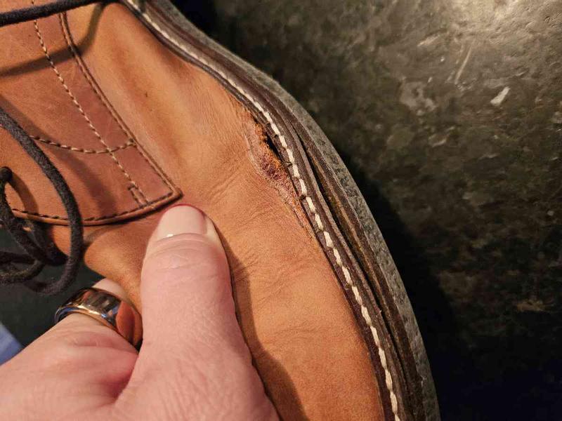 Review Thumbnail Image 0 239340930