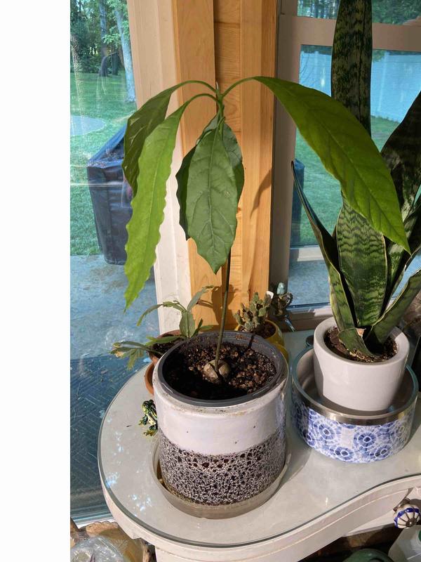 Review Thumbnail Image 0 227311144