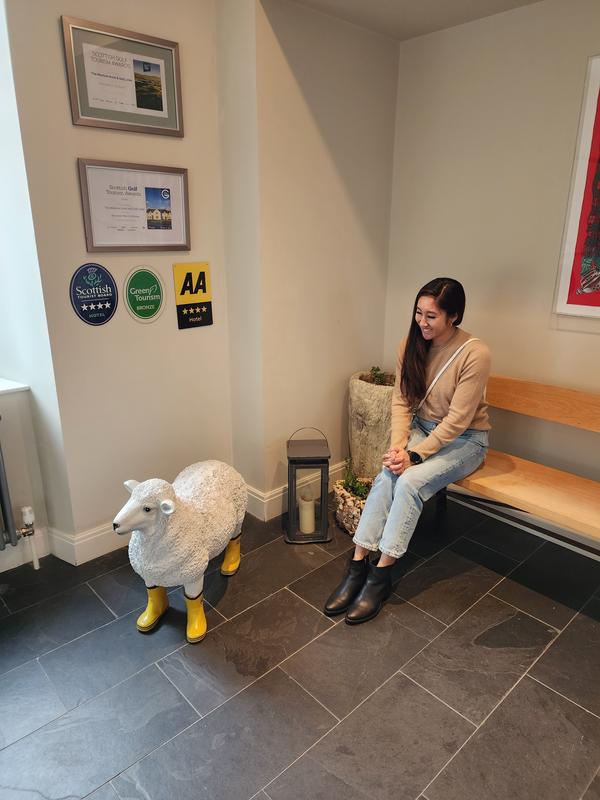 Review Thumbnail Image 1 230394208