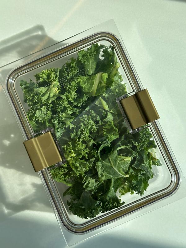 Review Thumbnail Image 0 236990820