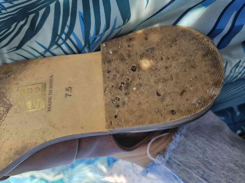 Review Thumbnail Image 1 241978072