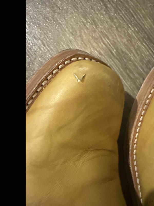 Review Thumbnail Image 0 248993432