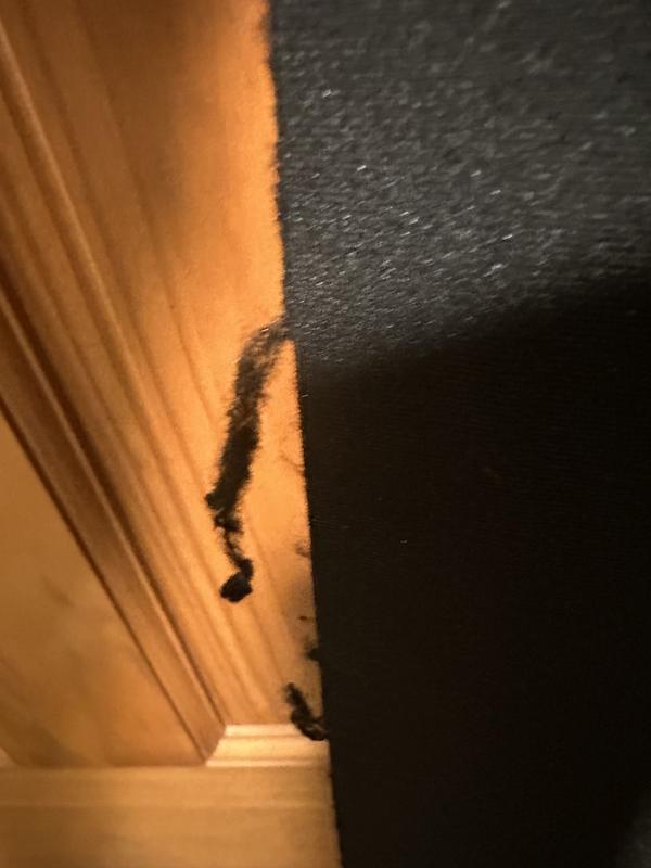 Review Thumbnail Image 0 236074522