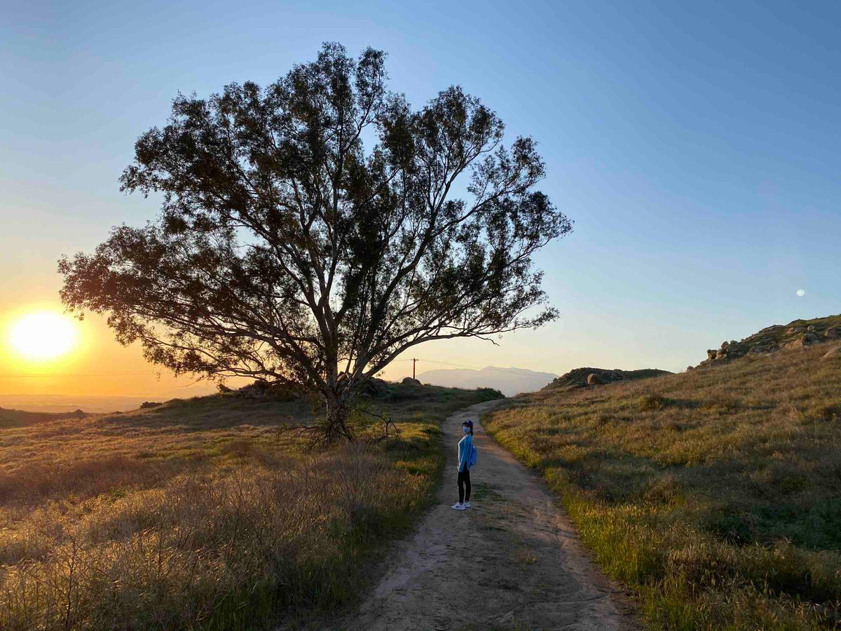 Review Thumbnail Image 0 195808552