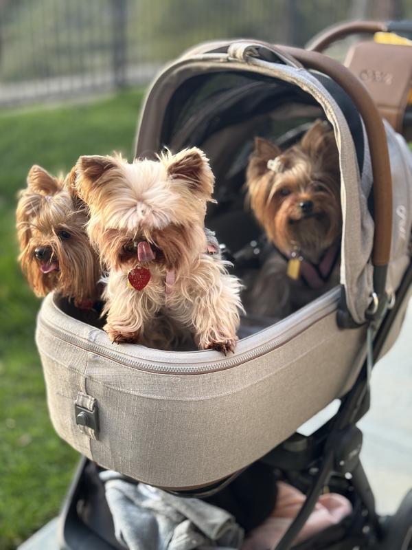 Review Thumbnail Image 2 240715346