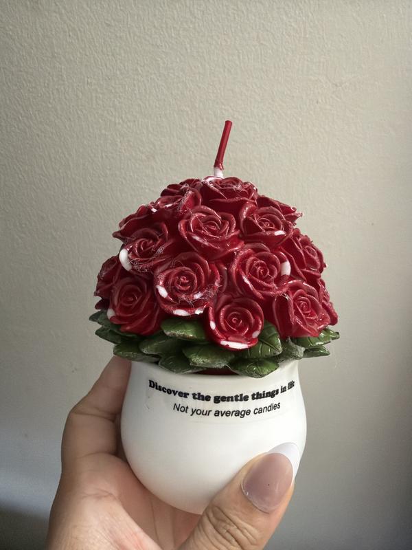 Review Thumbnail Image 3 247409791