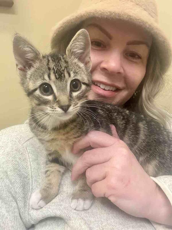 Review Thumbnail Image 0 229998606