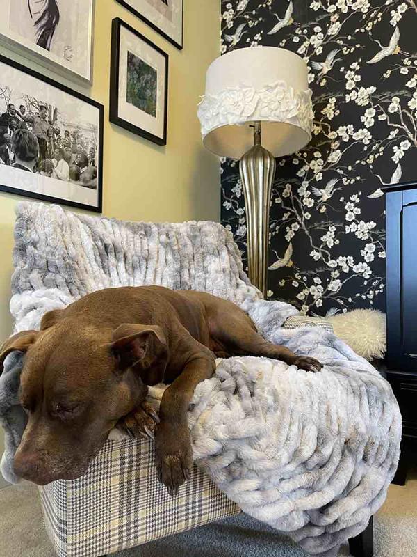 Customer photo for "so soft, so chic!"