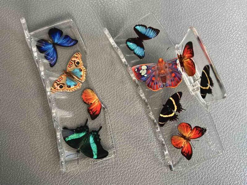 Review Thumbnail Image 0 238633872