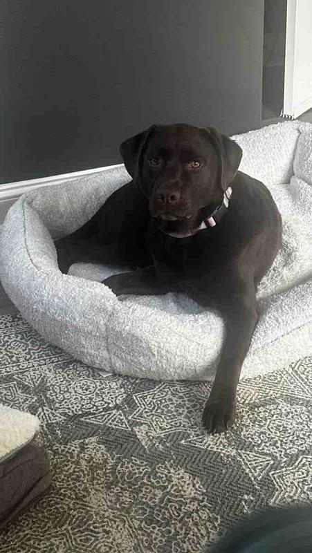 Review Thumbnail Image 0 246721941