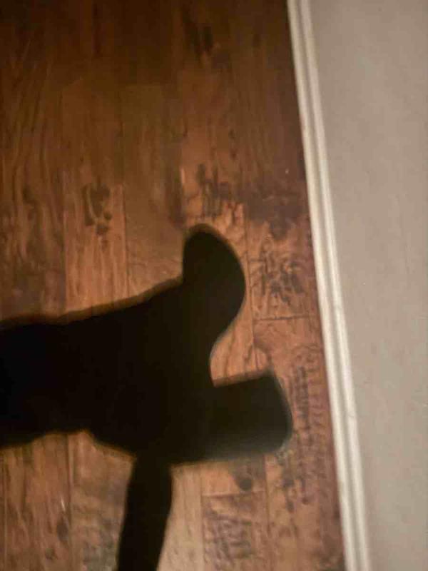 Review Thumbnail Image 0 246126350