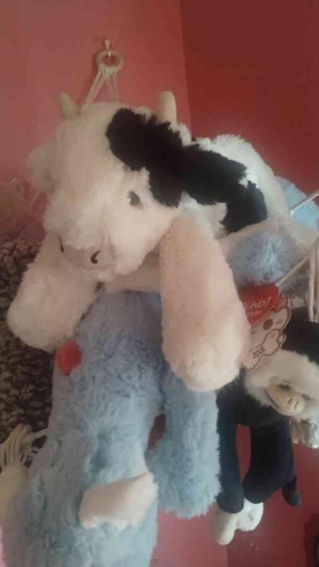 Review Thumbnail Image 0 247754222