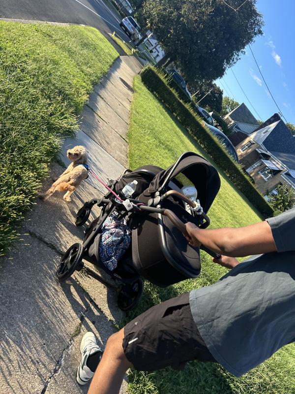 Review Thumbnail Image 0 236003507