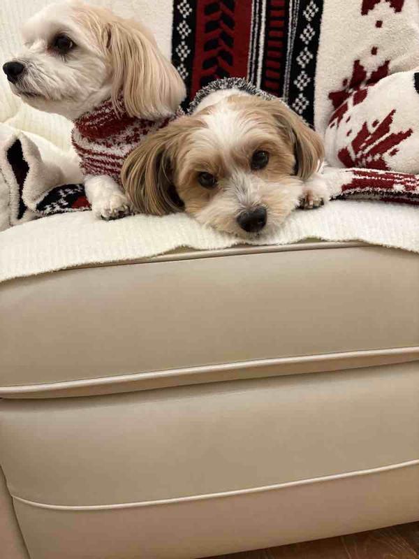 Review Thumbnail Image 0 247232063