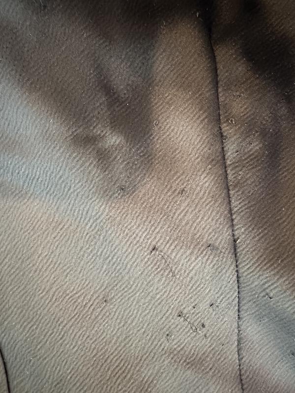 Review Thumbnail Image 2 242542119